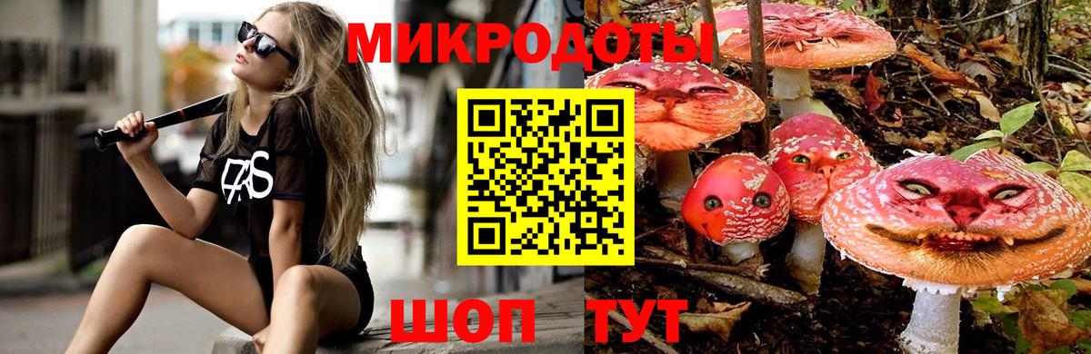 Галлюциногенные грибы Psilocybe Куйбышев