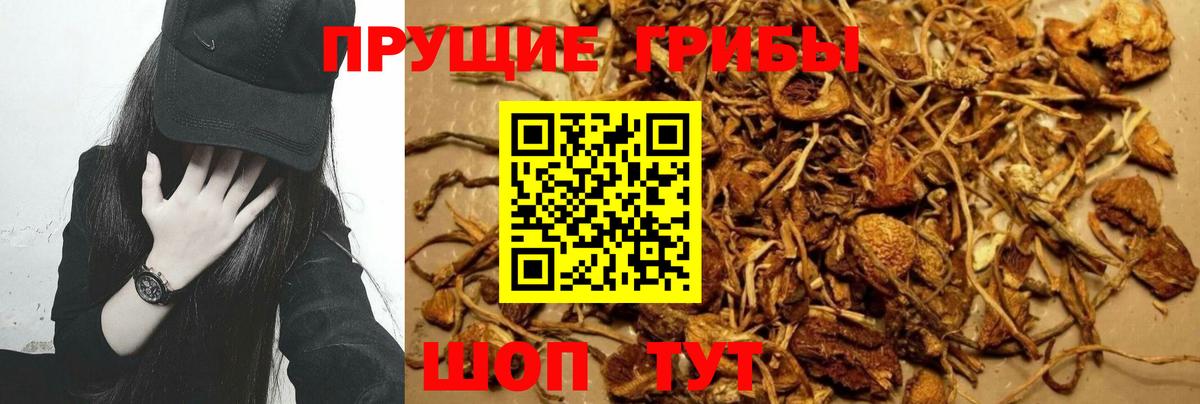 Галлюциногенные грибы прущие грибы  Псилоцибиновые грибы мухоморы  Куйбышев  Вход с VPN 